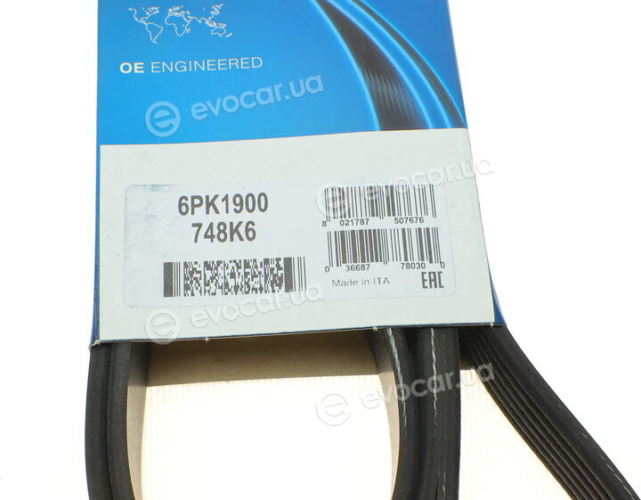 Dayco 6PK1900