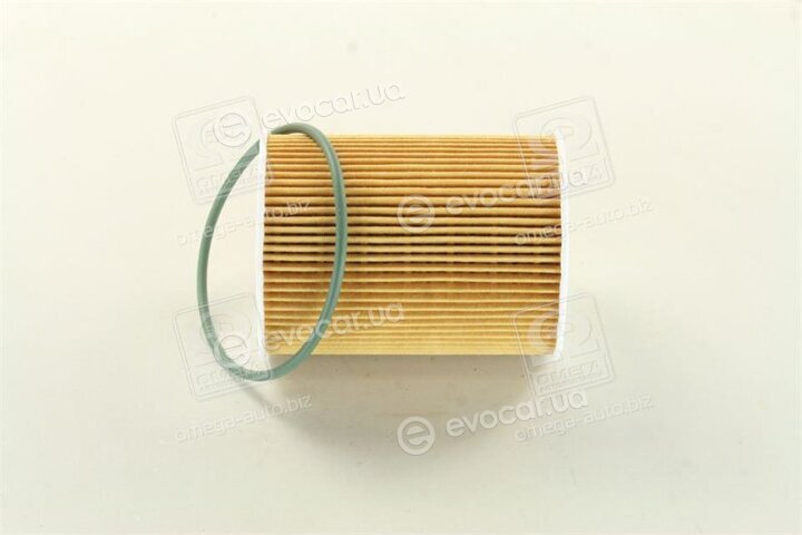Mahle OX 254D4