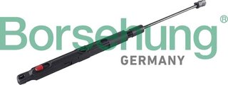 Borsehung B12483