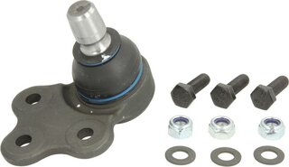 Reinhoch RH03-1007