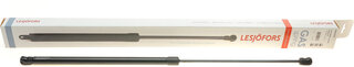 Lesjofors 8069709