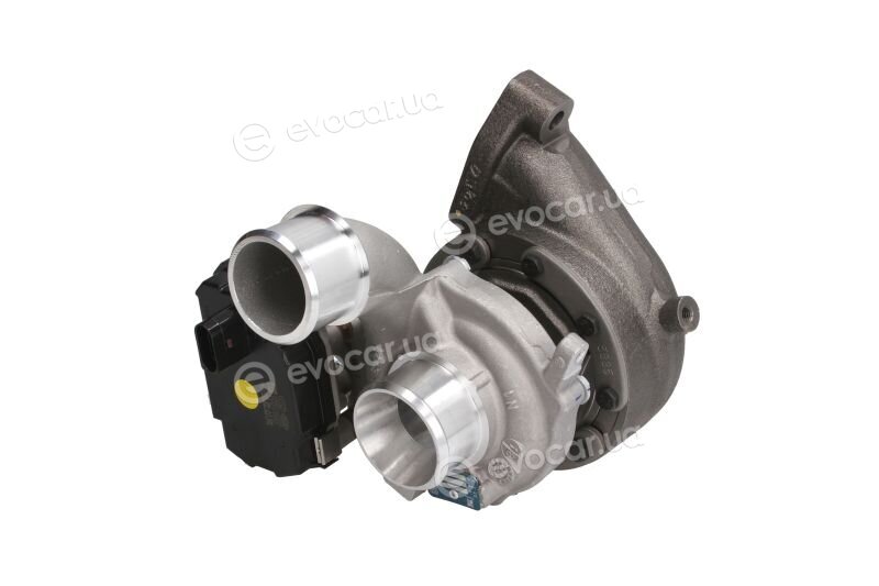 BorgWarner 54399880107
