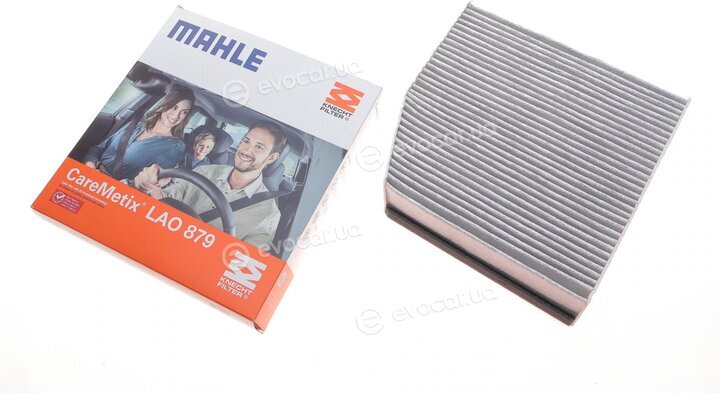 Mahle LAO 879