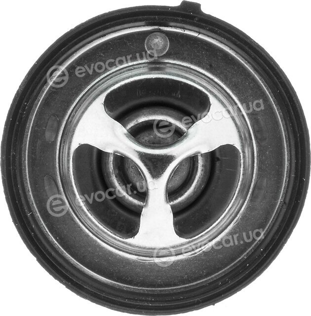 Motorad 565877