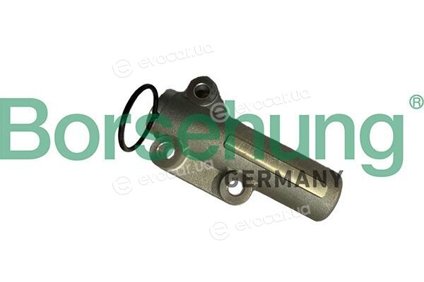 Borsehung B12944