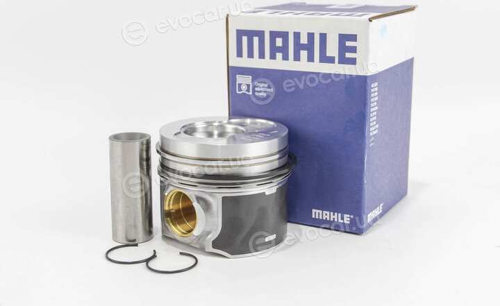 Mahle 030 98 00