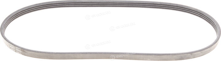 Continental 4PK903 ELAST