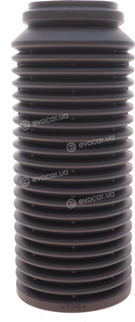 Magneti Marelli 310116110019