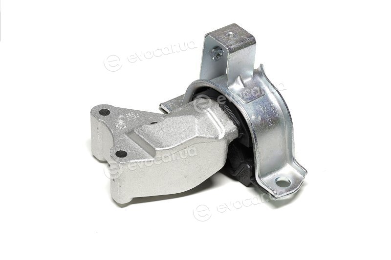 Sasic 9002437