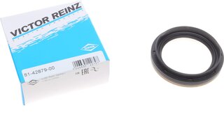 Victor Reinz 81-42879-00