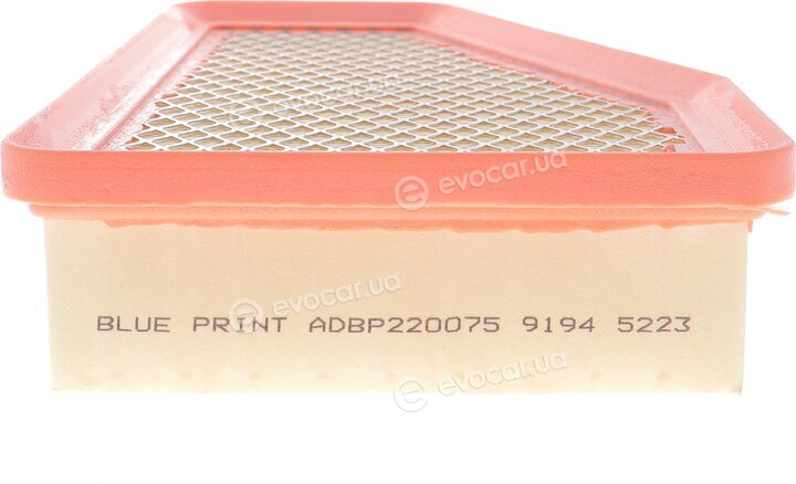 Blue Print ADBP220075