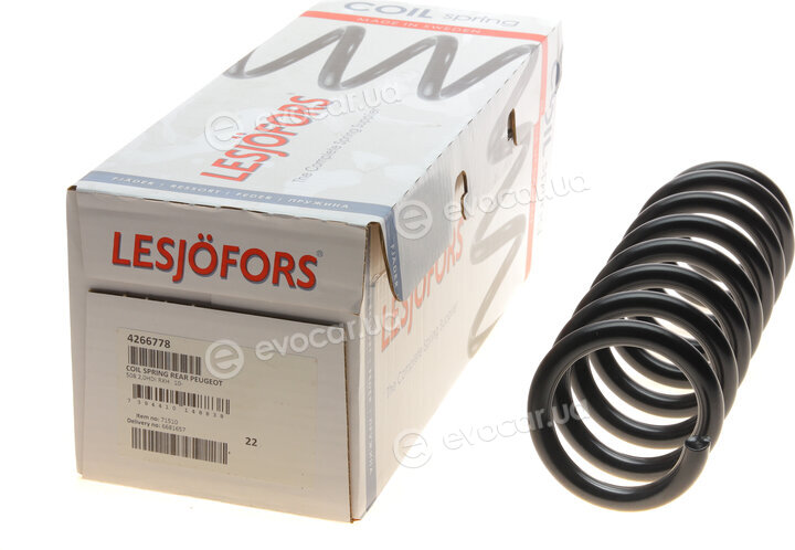 Lesjofors 4266778
