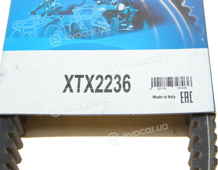 Dayco XTX2236
