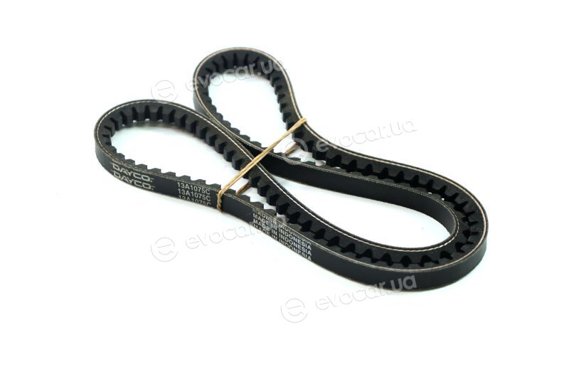 Dayco 13A1075C