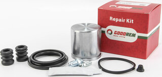 Goodrem RK69051.1