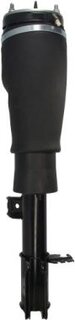 Magnum APL017MT