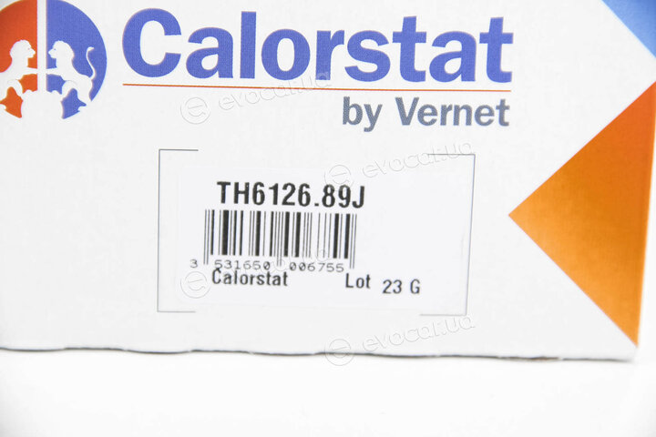 Vernet / Calorstat TH6126.89J