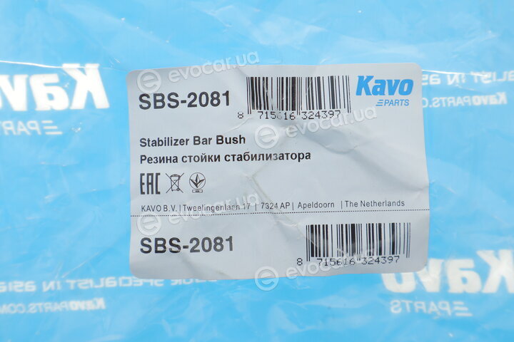 Kavo SBS-2081