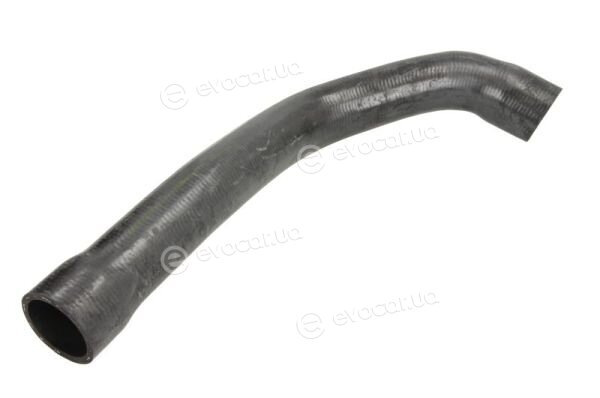 Thermotec DWB030TT