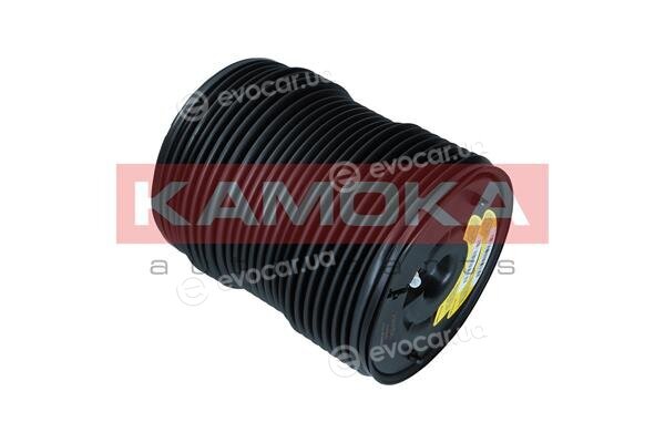 Kamoka 2079069