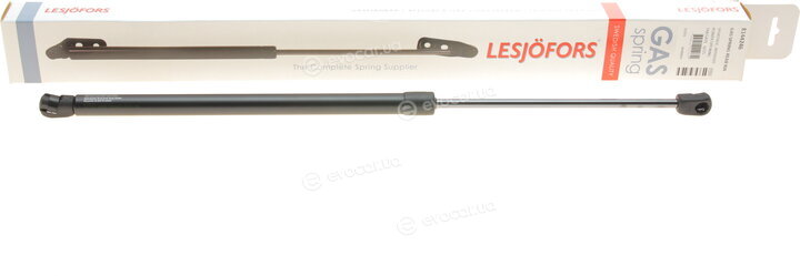 Lesjofors 8144246