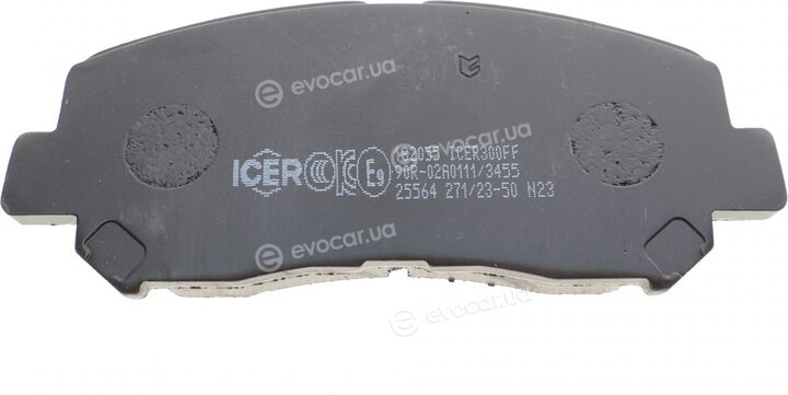 Icer 182055