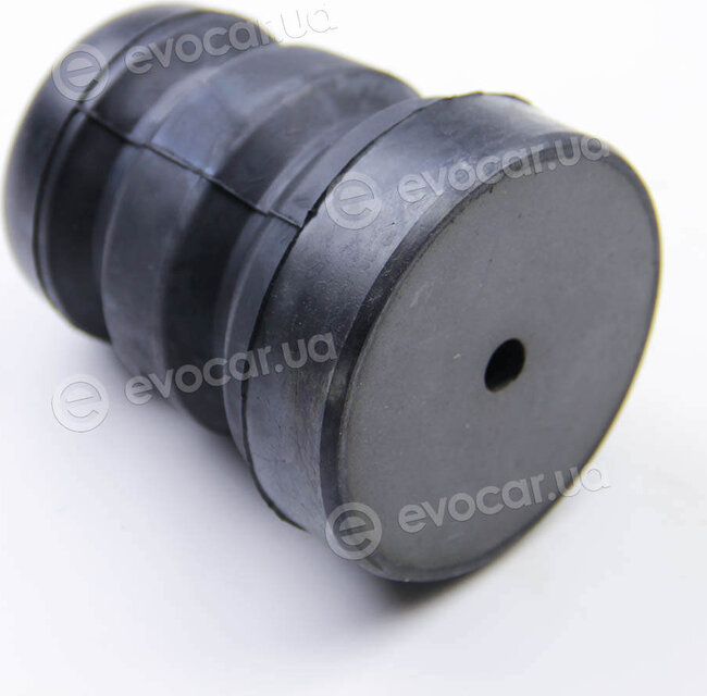 BC Guma 0259