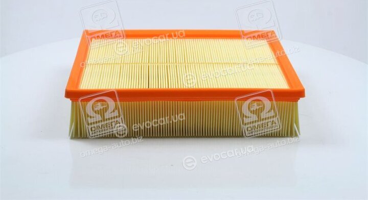 Hengst E206L