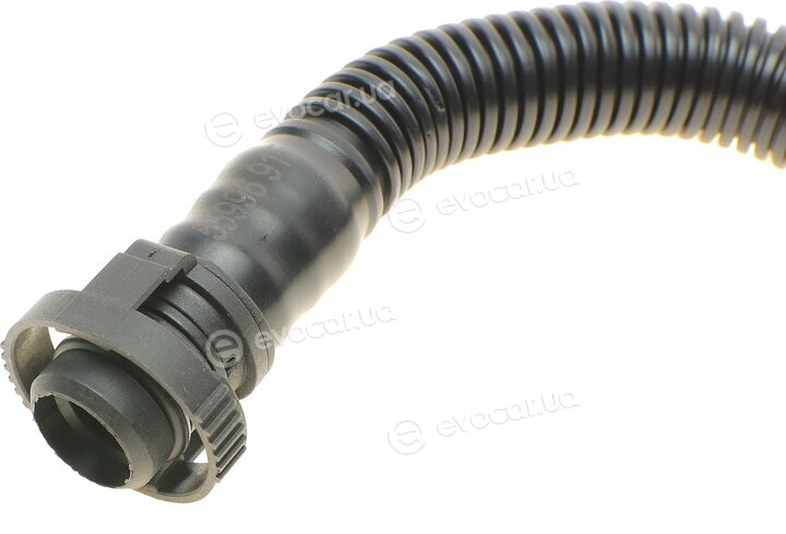 AIC 55996