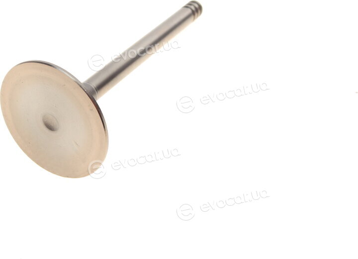 AMP PVWG137-S-0-N