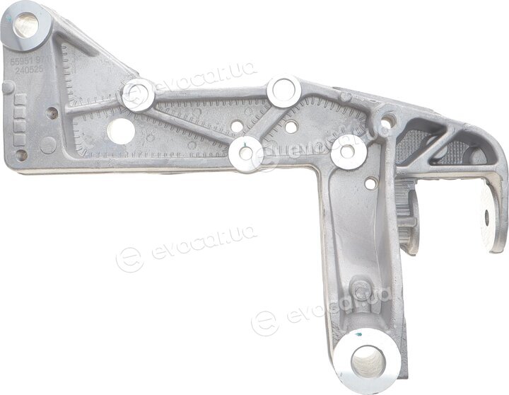 AIC 55951
