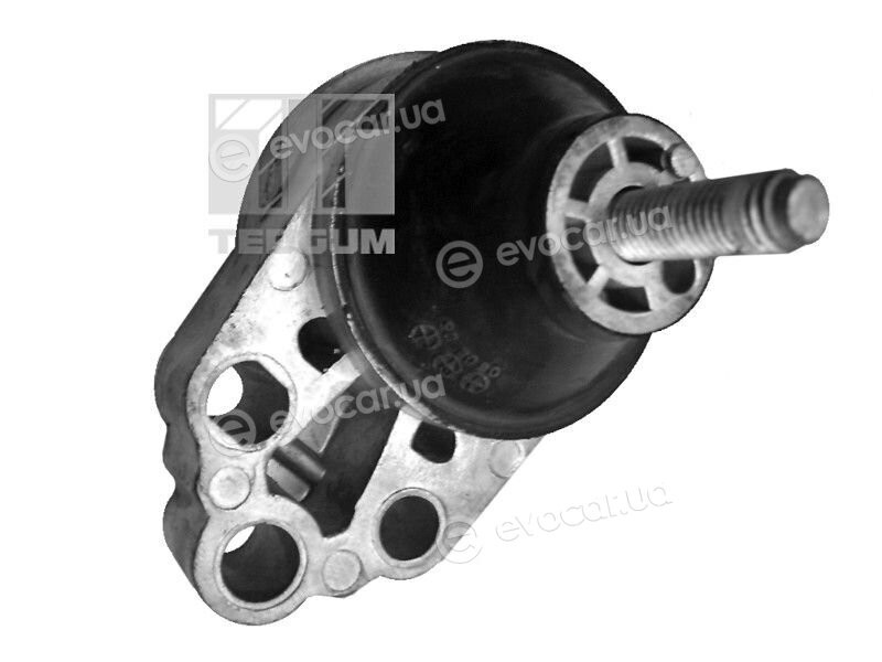 Tedgum 00226305