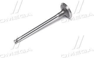 Gunes 3998