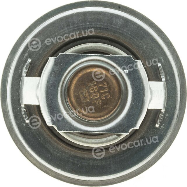 Motorad 202-88K
