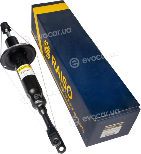 Raiso RS170811