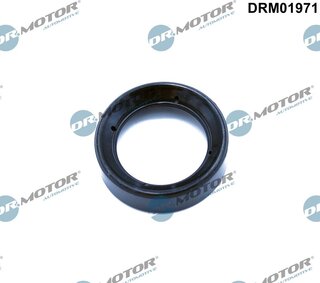 Dr. Motor DRM01971