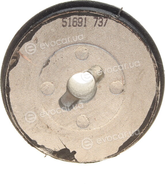 AIC 51691