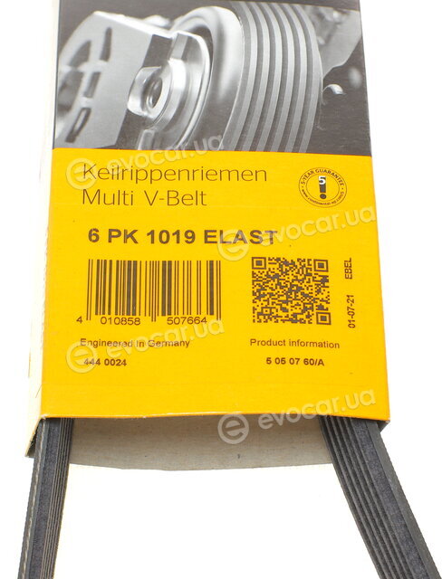 Continental 6PK1019 ELAST