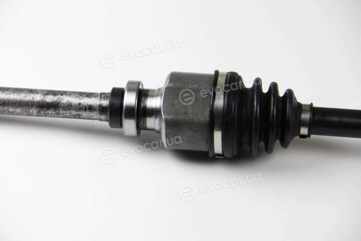 BGA DS1408R