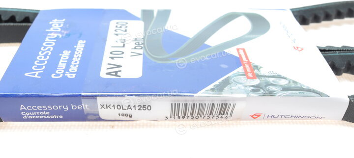 Hutchinson AV 10 La 1250