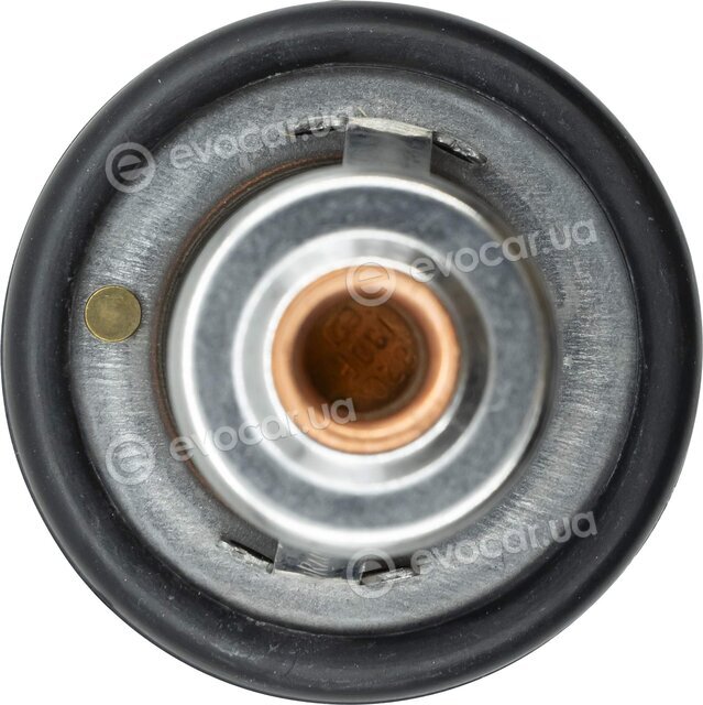 Motorad 363-82K