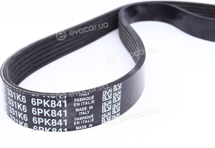 Dayco 6PK841
