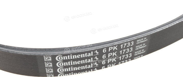 Continental 6PK1733K3
