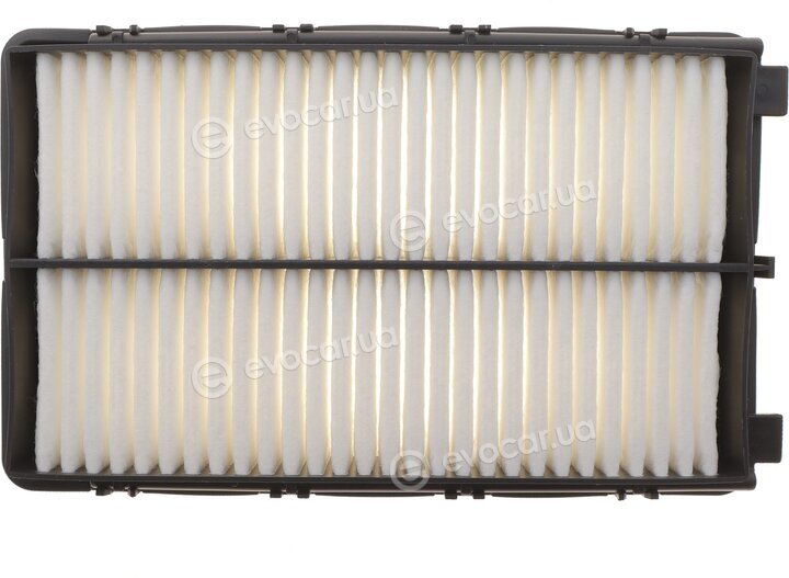 Solgy 103181