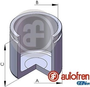 Autofren D025718
