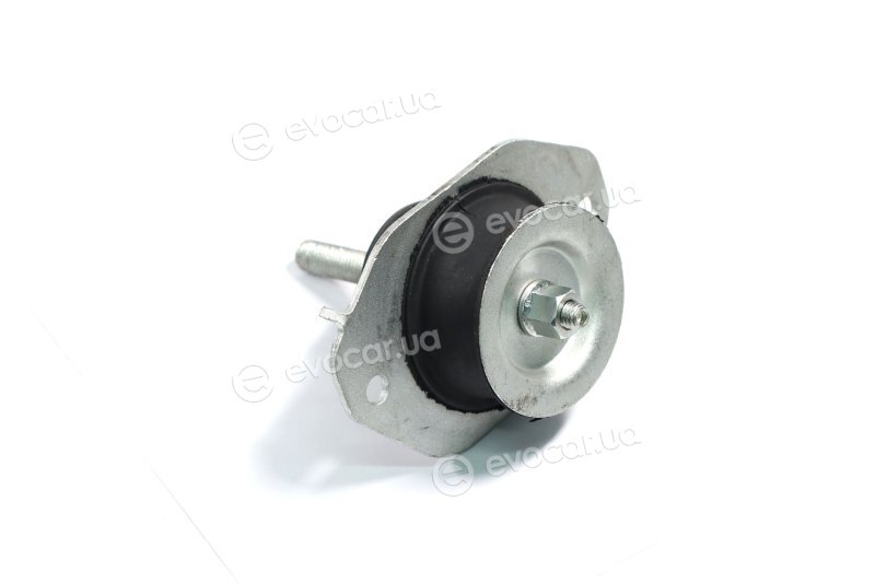Sasic 2704118