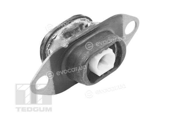 Tedgum TED46913