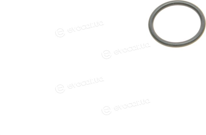 Elring 389.050