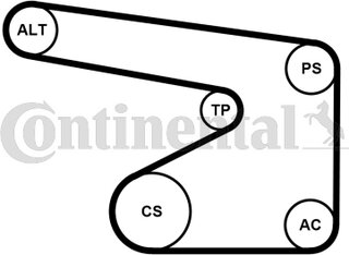 Continental 5PK1355WP1