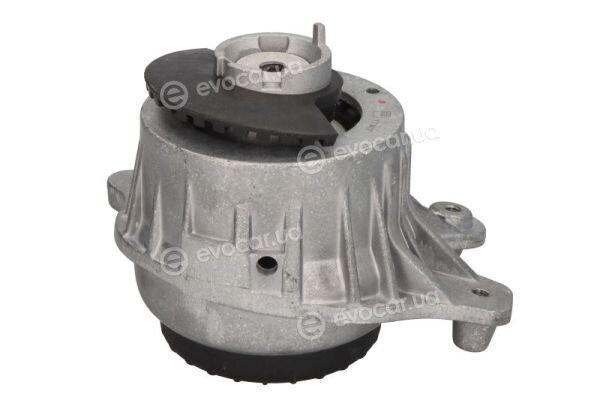 Reinhoch RH11-3096